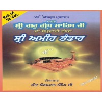 Tika/Teeka Adi Sri Guru Granth Sahib Ji Gurmukhi Punjabi Sri Amir Bhandar by Kirpal Singh Ji Vol. 10