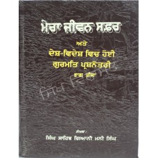 Mera Jeevan Safar Sanchi 3