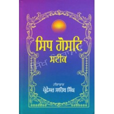 Sidh Gosat Steek