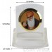 Guru Nanak Dev Ji Acrylic Model Color Transparent Statue-Home Room Office Car Dashboard Decor Gift Item Dashboard Accessories Small Size 3.2 Inches  