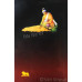 Nikkian Jindan Te Wadde Saake ਨਿੱਕੀਆਂ ਜਿੰਦਾਂ ਤੇ ਵੱਡੇ ਸਾਕੇ Book By: Gurbaksh Singh Kesri