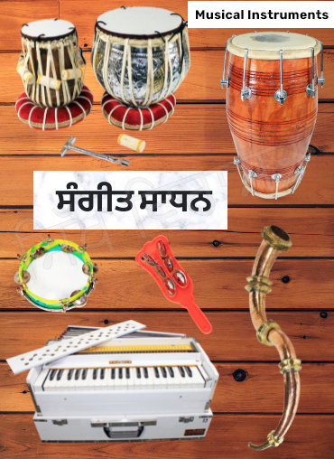 Musicals Instruments